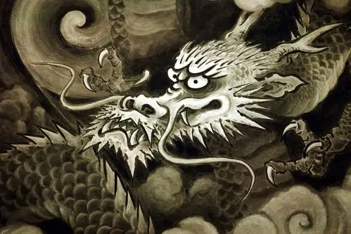 求龙在天上飞很逼真的图_百度知道