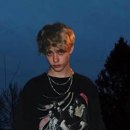 欧美头像男/wild boys/来自ins自截/swing! by:leesiutung