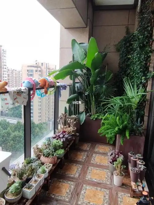 阳台花园