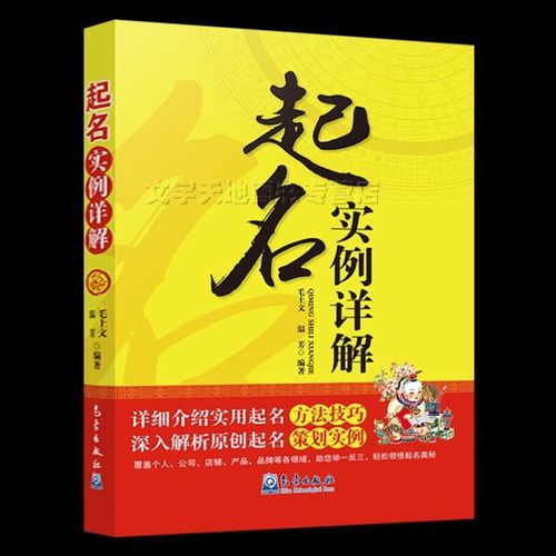 起名实例详解 正版毛上文 温芳 编著 实用起名字方法书籍 宝宝新生儿