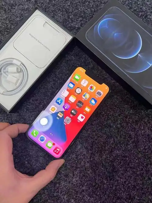 苹果12pro 国行128g 成色99新
