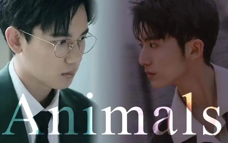 亮光郝富申x胡先煦双向诱捕你的步步为营我的机关算尽