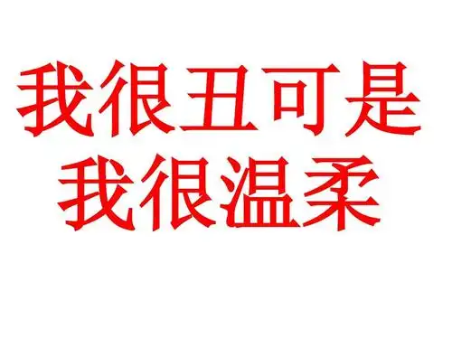 我很丑可是 我很温柔