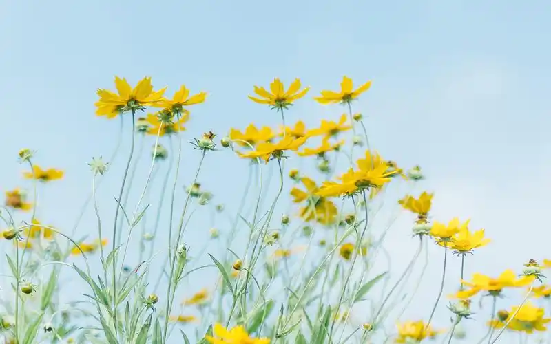 痔疮的危害有哪些