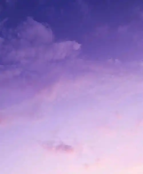 紫色也可以是心头的白月光啊