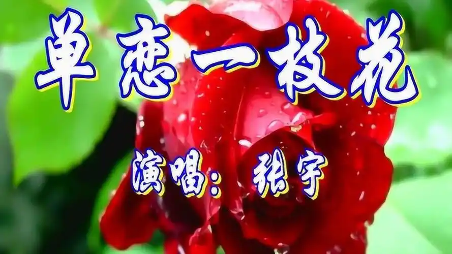 张宇《单恋一枝花》真好听