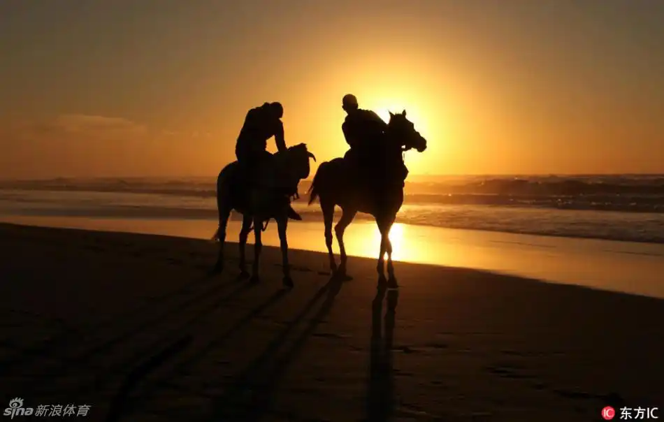 碧海之滨夕阳西下之策马同行_高清图集_新浪网