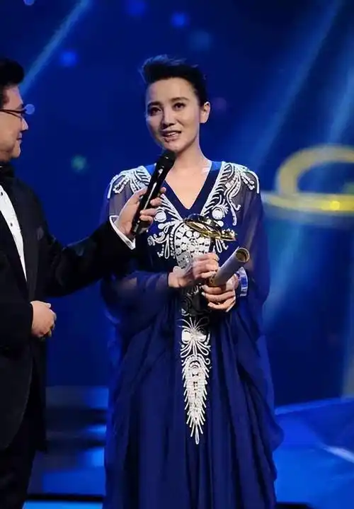 珠玉不沾梅婷获得最佳女演员奖说起来,梅婷能拿这个奖的原因刘琳为此