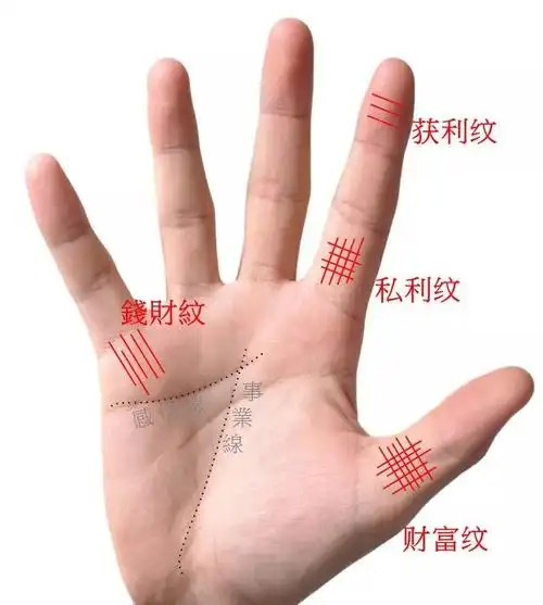 有这些手纹【偏财运强】这辈子注定赚大钱 - 五行知识网