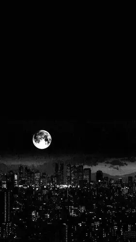 有没有又酷又丧的背景图?