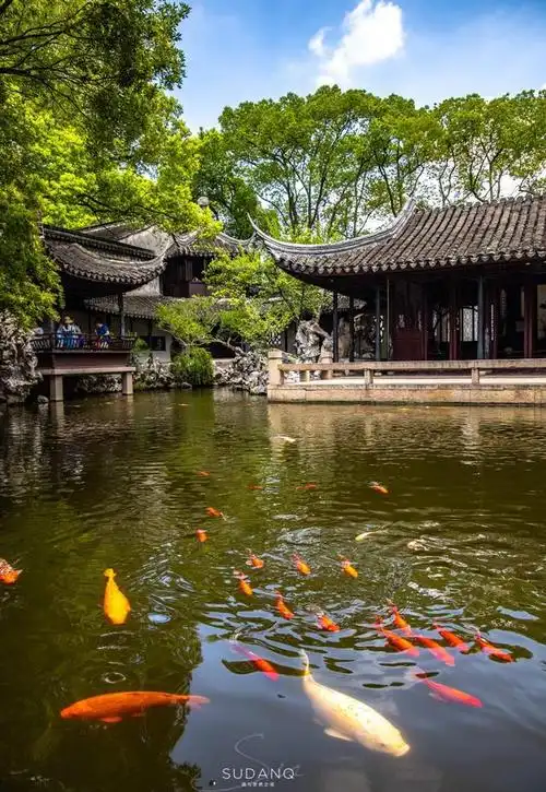 苏杭之美,风雅,温婉,古典,精致,尤以苏州园林为代表,是人生旅途中不可