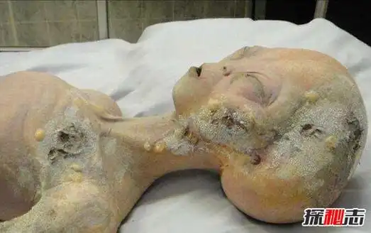 揭秘美国51区外星人真相美国51区的秘密图片仅总统能进入