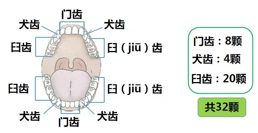 荟萃科学优质课共享教育智慧果2021年霞山区科学竞赛课分享十一