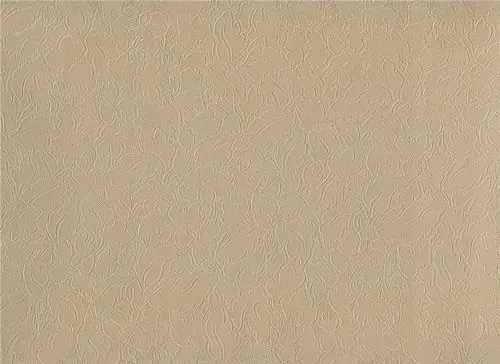 浅咖是什么颜色,有样板么?