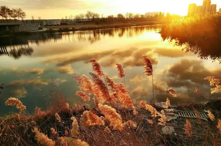 那些惊艳了世俗的温柔句子
