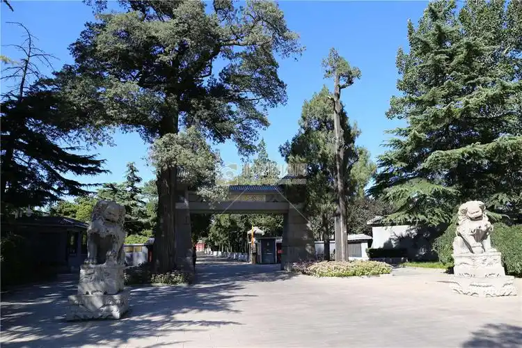 八宝山革命公墓墓地图片,八宝山革命公墓景观图在线查看_北京陵园网