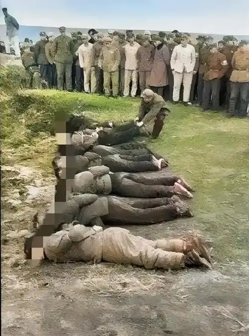 60年代一群死囚犯被执行枪决后的照片工作人员正一个一个摆正