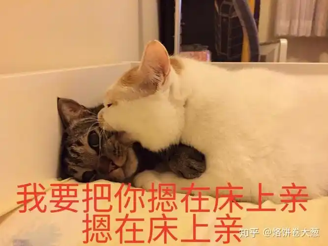 有什么适用于和老公/男票撒娇的可爱表情包?