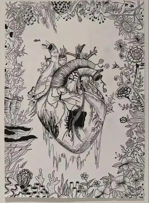 14岁王诗龄晒绘画作品,在美术室里认真创作,线描和水粉样样精通