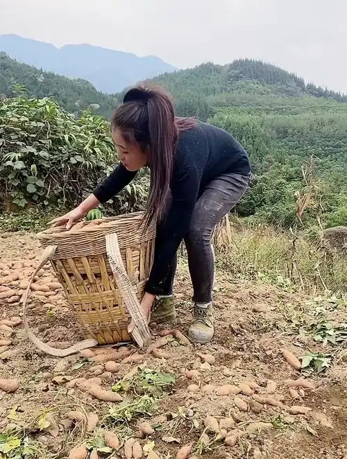 农村的女孩子深情农村姑娘有人喜欢吗