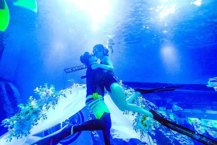 海底潜吻爱燃七夕江城1925对新人昨领证