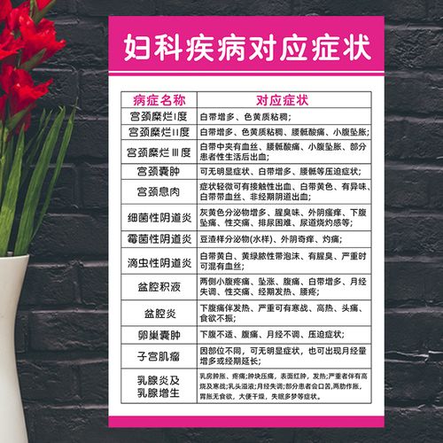 医院妇科健康知识宣传画妇科疾病对应症状女性生殖器系统解剖挂图