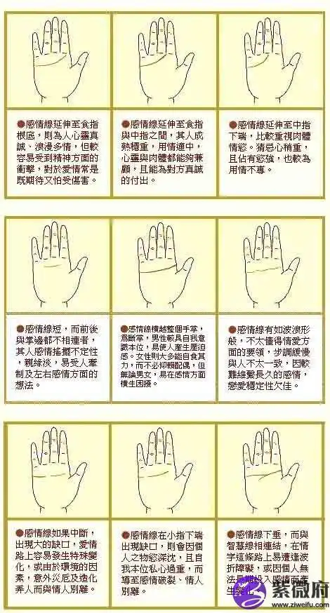 最详细的感情线图解
