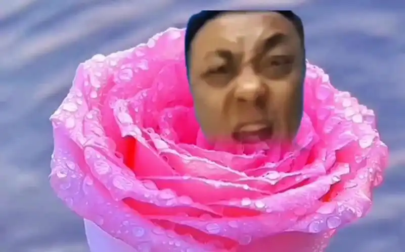 用土味视频方式打开黑手哥