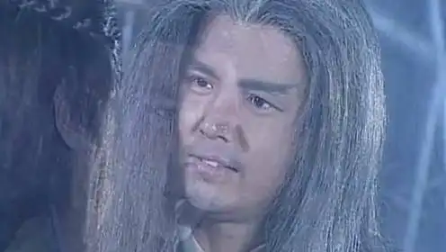 燕南天是唯一一个没有被人用武力打败的角色,而且江湖上的数一数二的