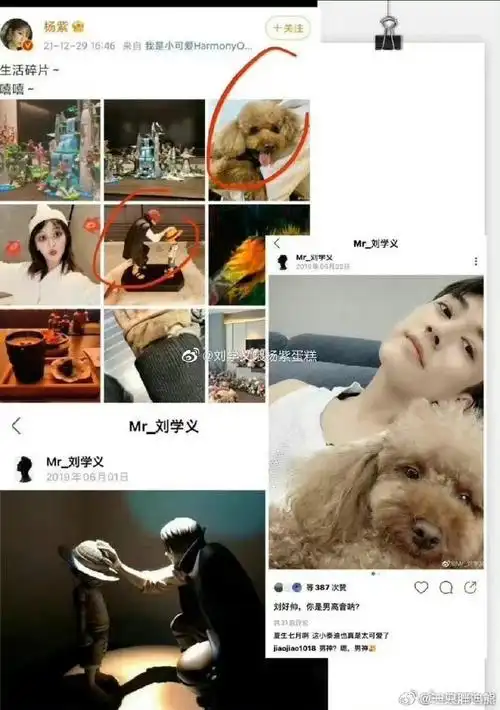 杨紫站姐 刘学义