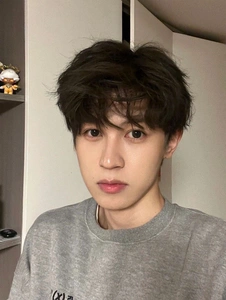 网红短卷发假发男蓬松日系碎盖头自然碎齐刘海逼真纹理烫整顶发套