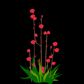 动态花卉(下)