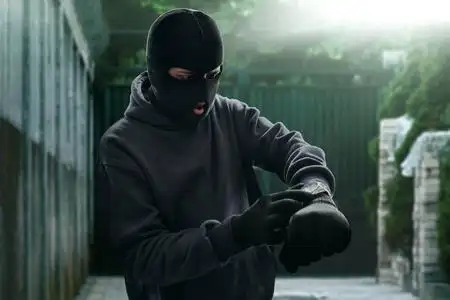 蒙面的小偷图片