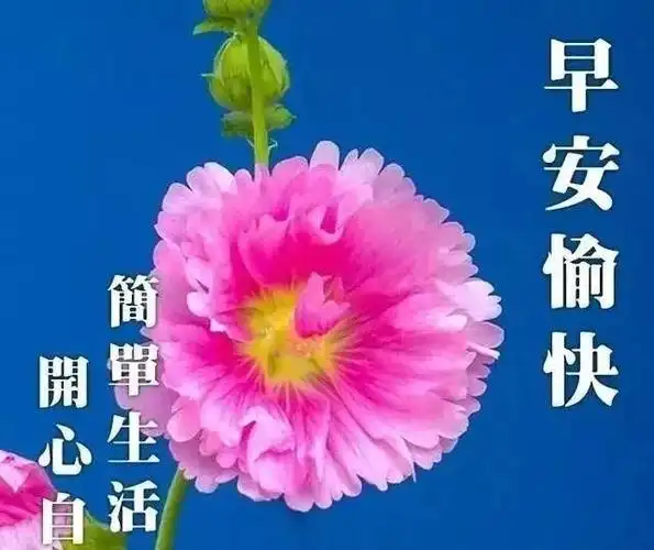 2021年早上好温馨祝愿,带字祝福图片