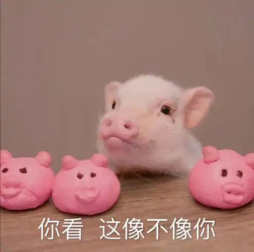 你看这像不像你猪猪表情包像不像猪猪表情