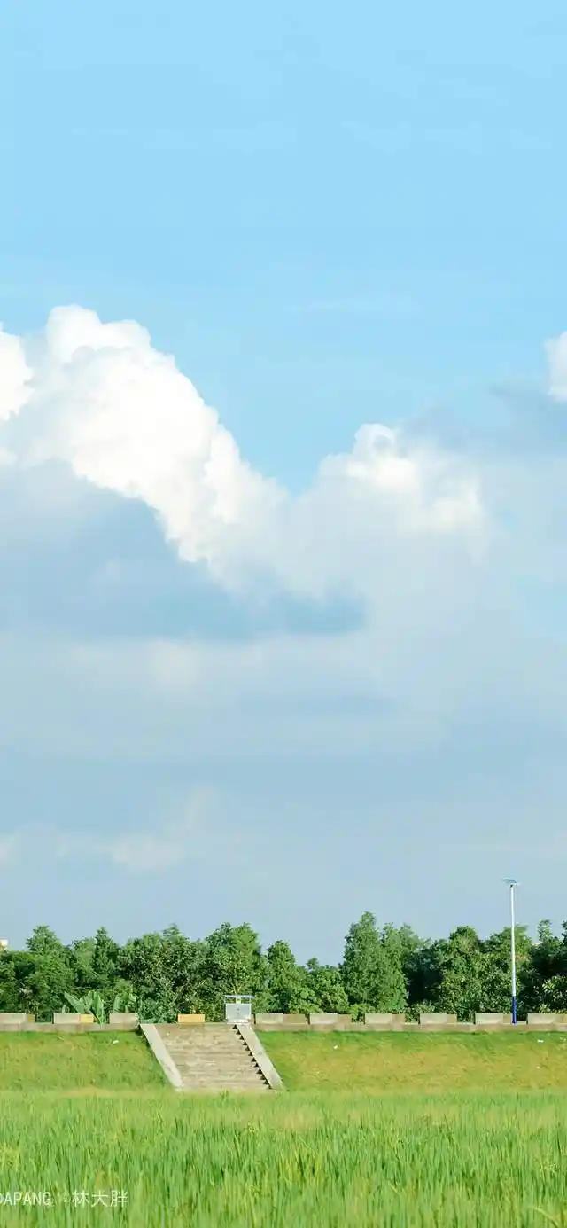 一些超级治愈的手机壁纸,快来换壁纸啦