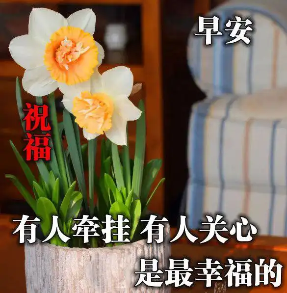 2020鼠年仲夏最美早安图片带字带祝福,很洒脱的早安句子