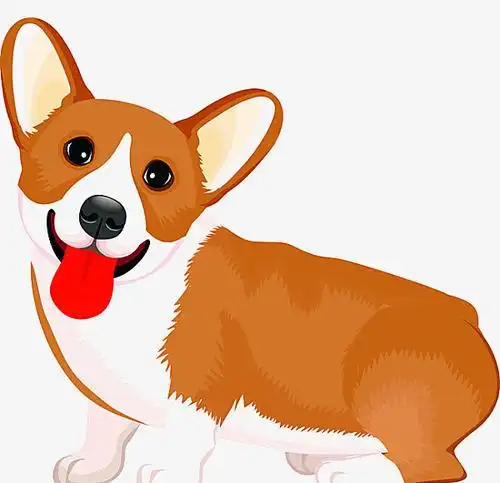 可爱的狗头像图片卡通