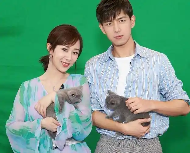 杨紫李现二搭,李现倪妮新剧投资方跑了,《国色芳华》成救命稻草_离场