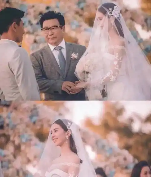 郑嘉颖微博表白她,胡歌暗示愿意等她一辈子_刘诗诗_吴奇隆_合作