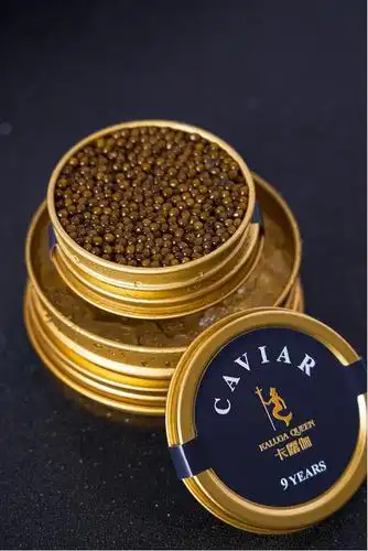 卡露伽kaluga 9年鱼子酱 9 years caviar(海博瑞鲟鱼子酱) 10g-100g