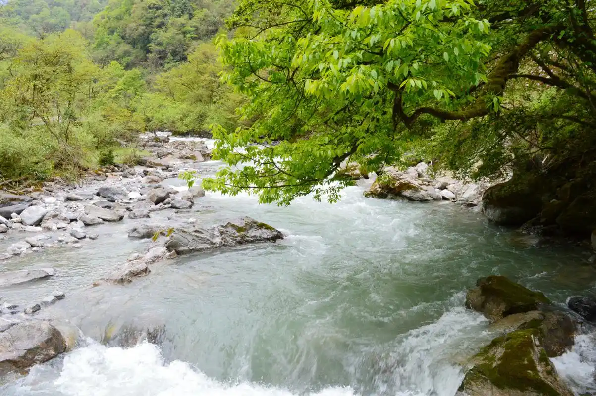 雅安喇叭河风,这里被人们誉为是:地球上的绿宝石.