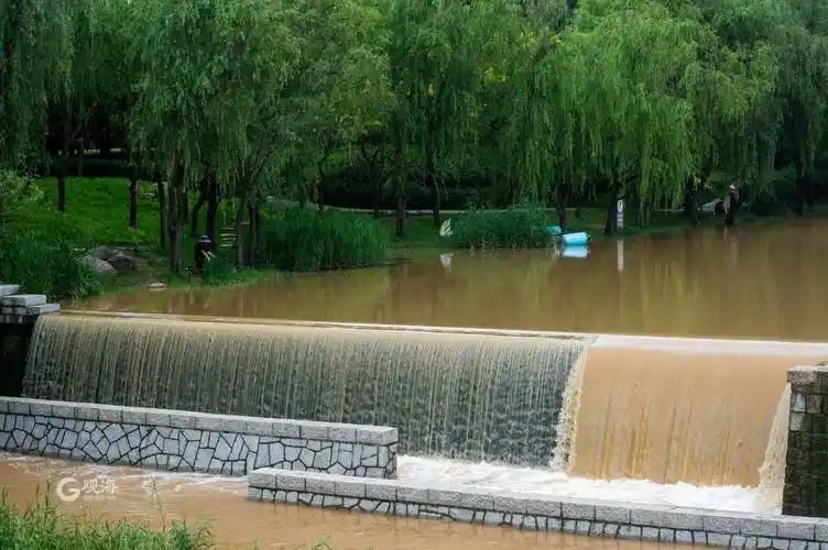 青岛连日暴雨过后李村河再现河水奔腾壮观景象