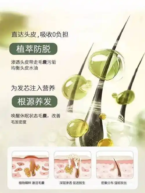 精准测评防脱洗发水哪个牌子的效果好油秃头姐妹快来看
