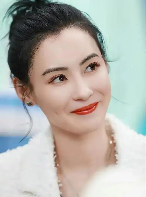 张柏芝优雅迷人楚楚动人的美照