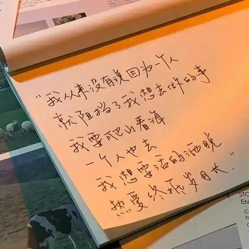 温柔治愈系文案