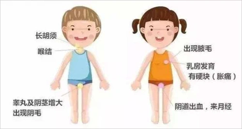 男生青春期-男生青春期,男生,青春期