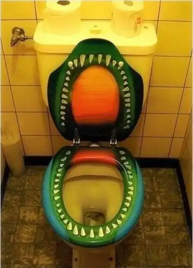 世界上18个最奇葩的厕所,这样的厕所你敢用吗?(组图)(1/9907)