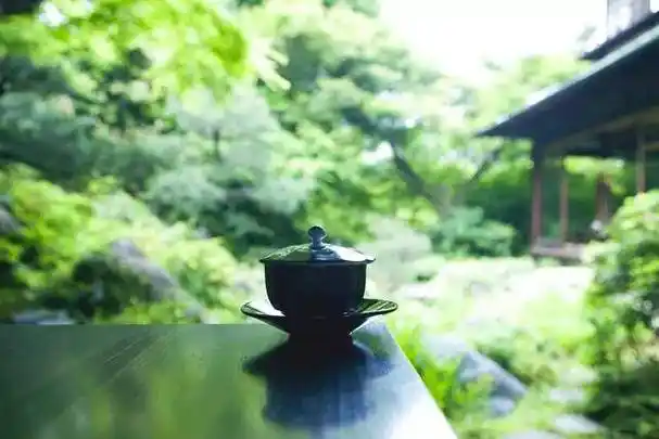 院子,才是最大的奢侈_可以在_庭院_宁静