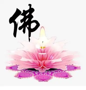 佛教中莲花代表什么
